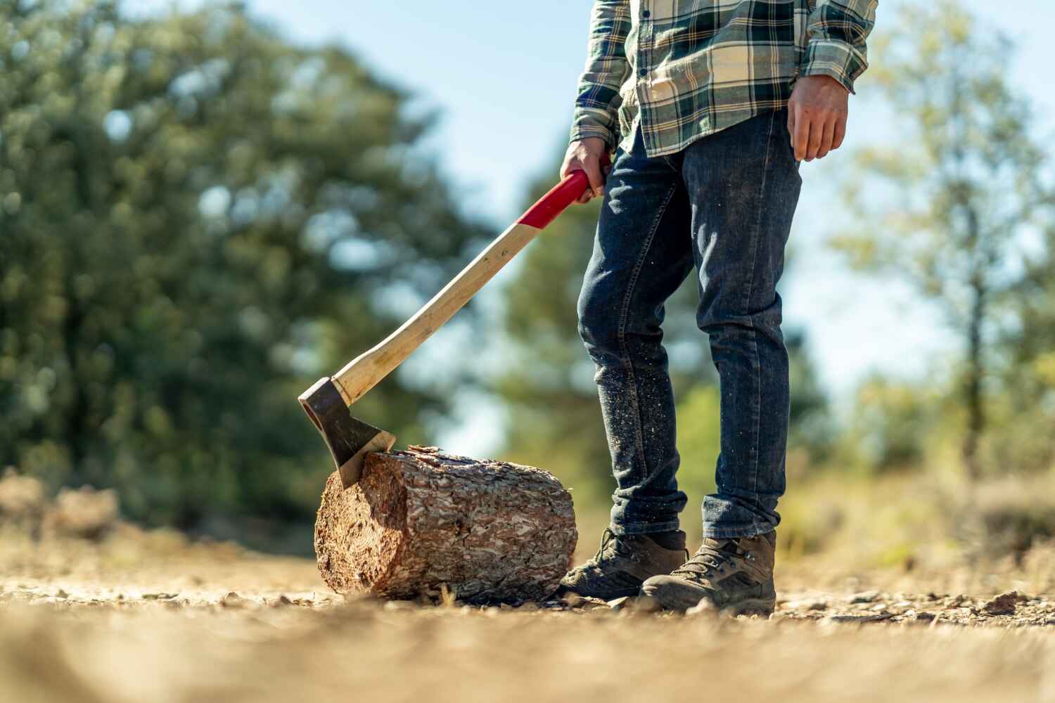 Tree Removal for Businesses in Lorenzo, TX